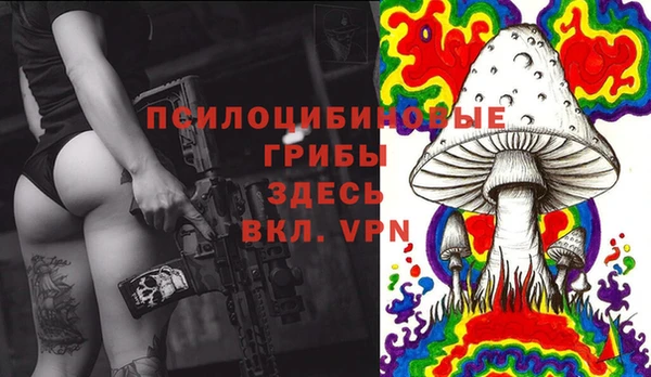 стафф Алексеевка