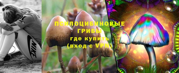 стафф Алексеевка