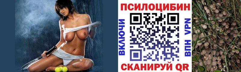Галлюциногенные грибы Cubensis Казань